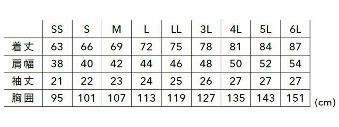 6065 ドライショートスリーブポロシャツ TSDESIGN 藤和 TSデザイン 作業服 春夏 半袖ポロシャツ 作業着 SS～6L ポリエステル100％ TSストロングツイスト180